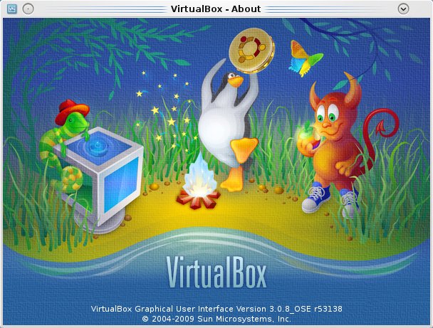 virtualbox startx